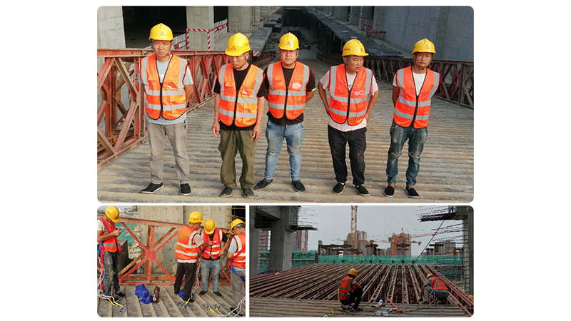 ������MS��ʨ�����